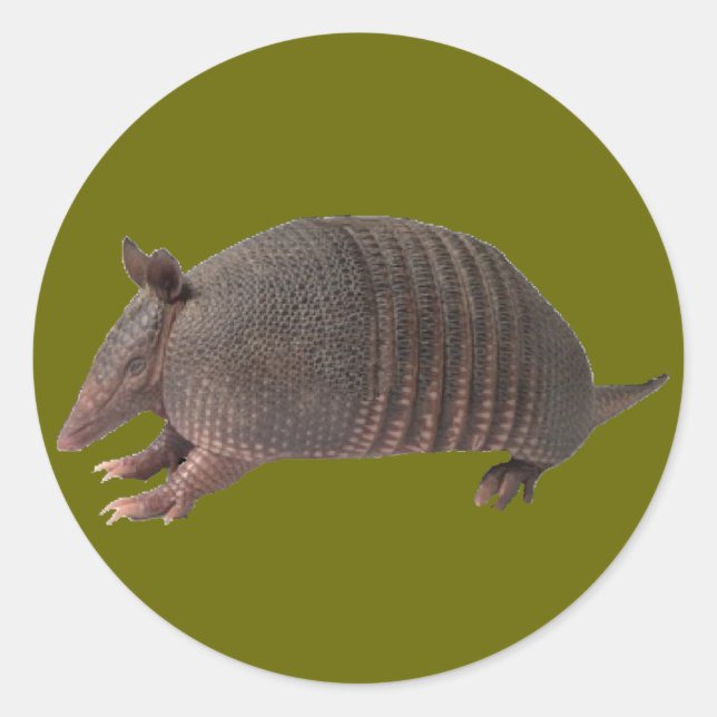 Armadillo plain classic round sticker (Front)