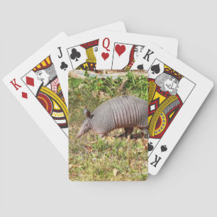 Armadillo Playing Cards