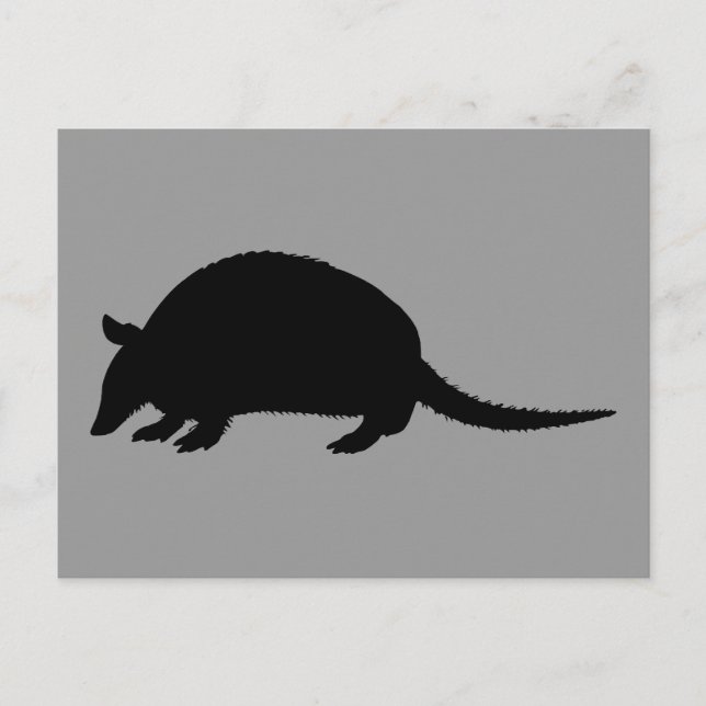 Armadillo Postcard (Front)