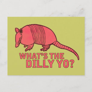Armadillo Postcard