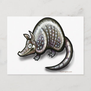 Armadillo Postcard