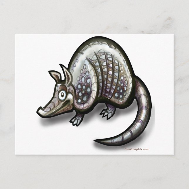 Armadillo Postcard (Front)