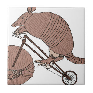 Armadillo Riding Bike With Armadillo Wheel Tile