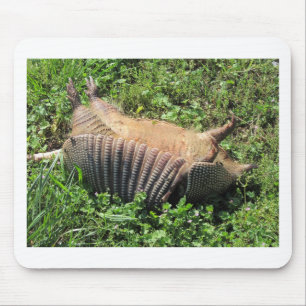 Armadillo Road Kill - Dasypodidae Mouse Mat