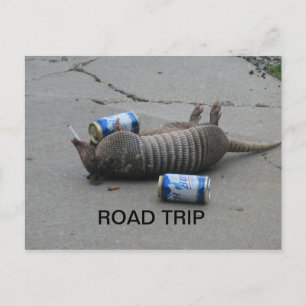 Armadillo Road Trip Postcard