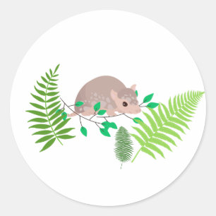 Armadillo Sticker
