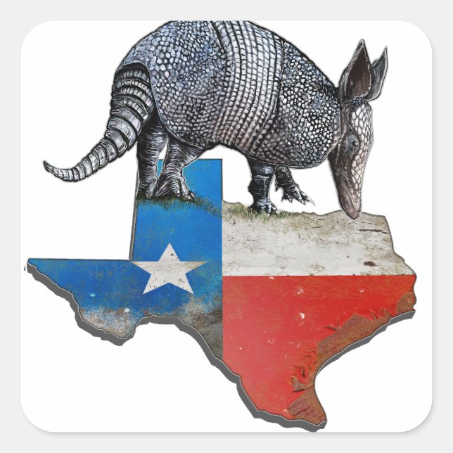 Armadillo Texas State Flag Map Square Sticker (Front)