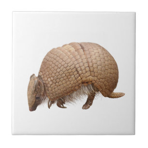Armadillo Tile