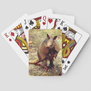 Armadillo wild animal playing cards