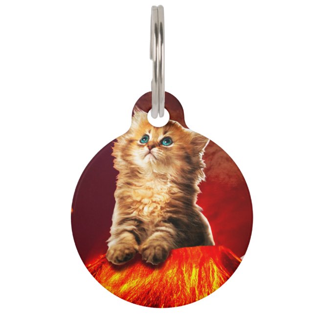 Armageddon cat pet tag (Front)