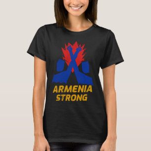 Armenia strong  vintage Defend Armenian community T-Shirt