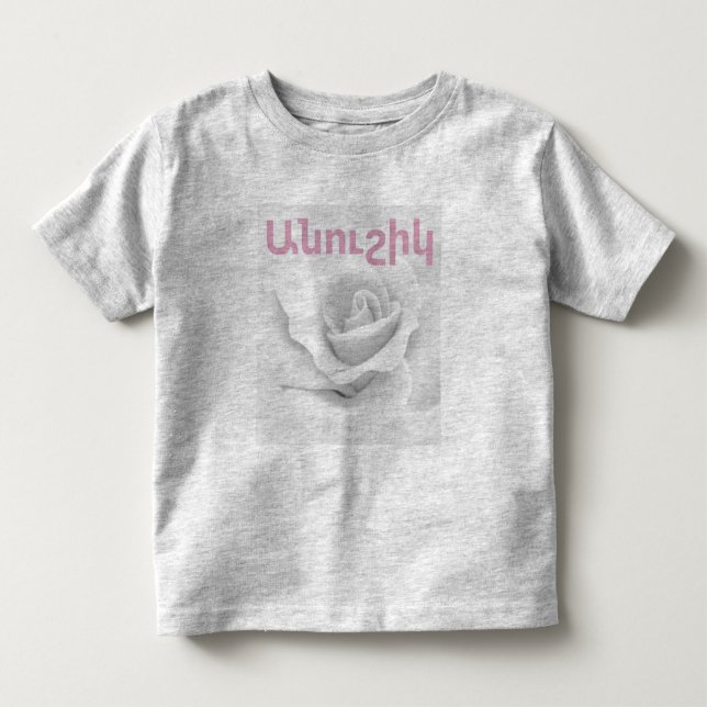 Armenian Saying T-Shirt (Front)