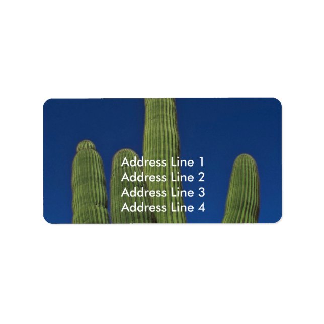 Arms Of A Saguaro Label (Front)