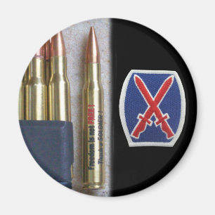 army 10th mountain div iraq nam vet vfw Magnet