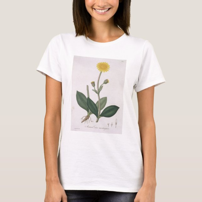 Arnica Montana from 'Phytographie Medicale' by Jos T-Shirt (Front)