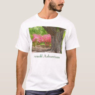 Arnold Arboretum in Spring T-Shirt