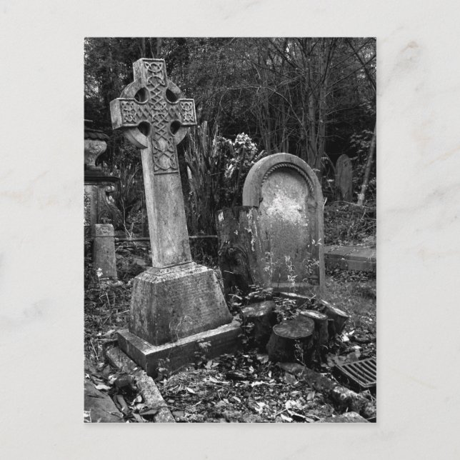 ArnosVale7 Postcard (Front)