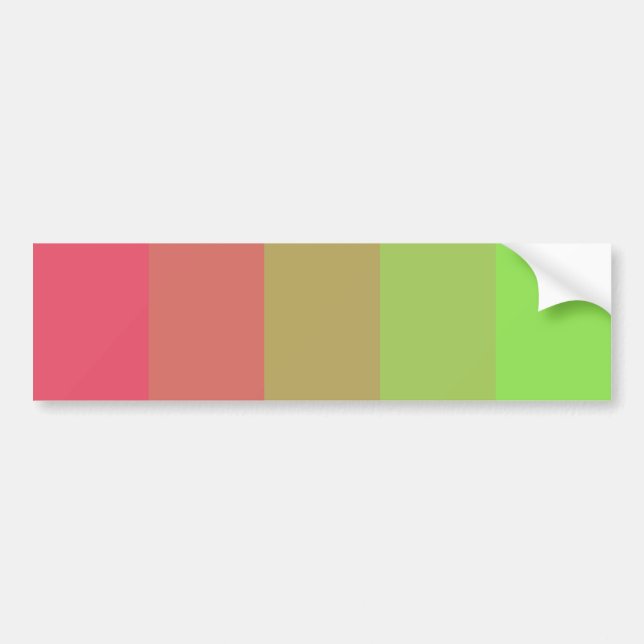 Aroflux Pride Bumper Sticker (Front)