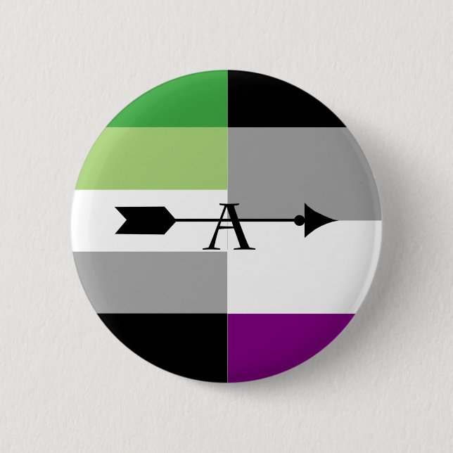 Aromantic Asexual Aro Ace Pin (Front)