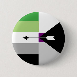 Aromantic Demisexual Pin