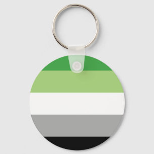 Aromantic Flag Button Keychain