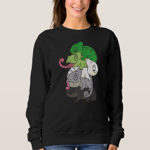 Aromantic Flag Gender Pride Lgbtq Chameleon   Sweatshirt