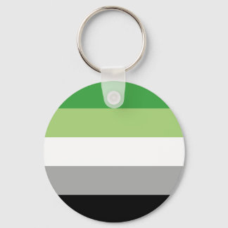 aromantic flag key ring