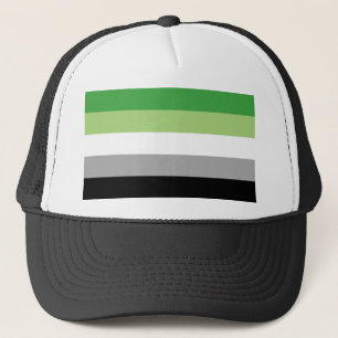 Aromantic flag trucker hat