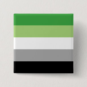 Aromantic Pride Flag LGBTQ 15 Cm Square Badge