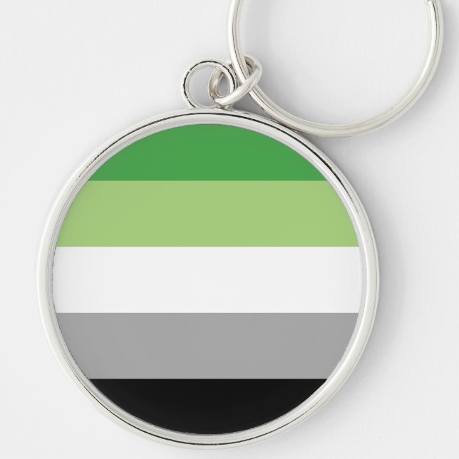 Aromantic Pride Flag LGBTQ Key Ring (Front)