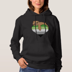 Aromantic Pride Flag Sloth Hoodie