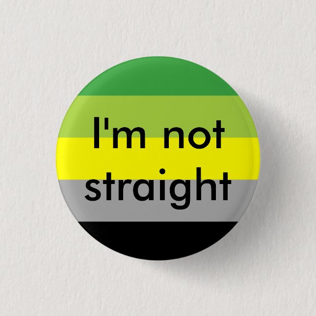 aromantic pride I'm not straight pin (Front)