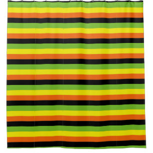 Aromantic Pride Shower Curtain