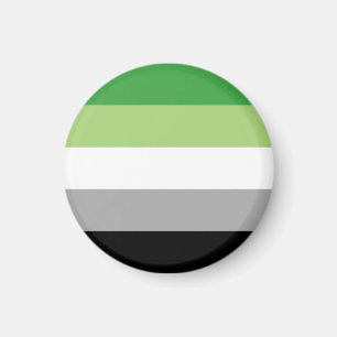 Aromantic Pride Stripes Magnet