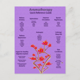Aromatherapy Chart Postcard