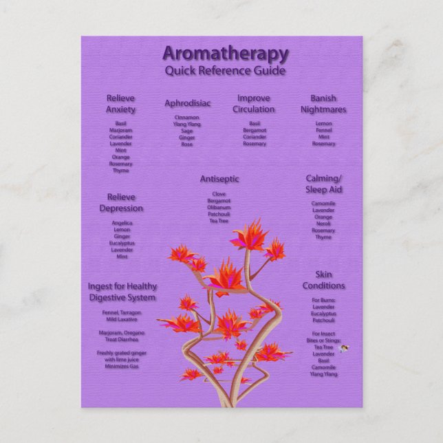 Aromatherapy Chart Postcard (Front)