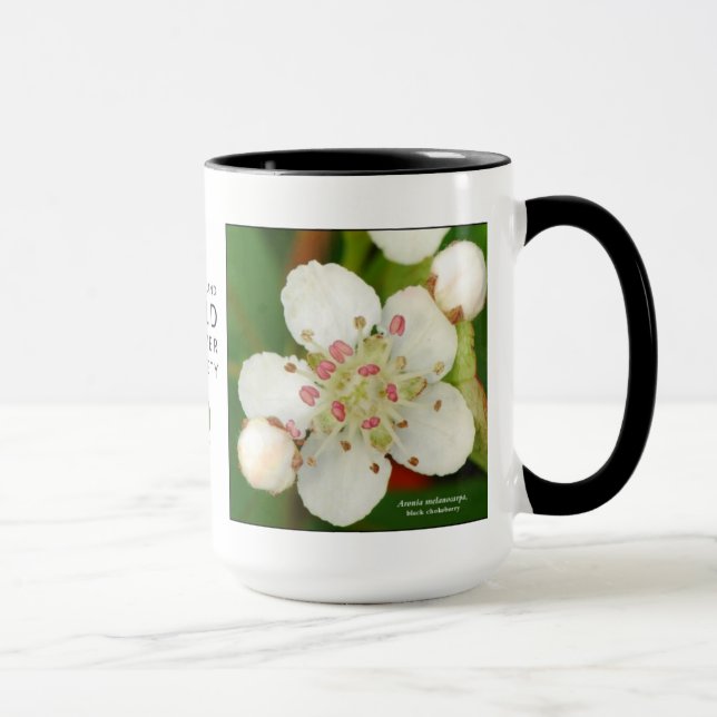 Aronia melanocarpa, black chokeberry mug (Right)