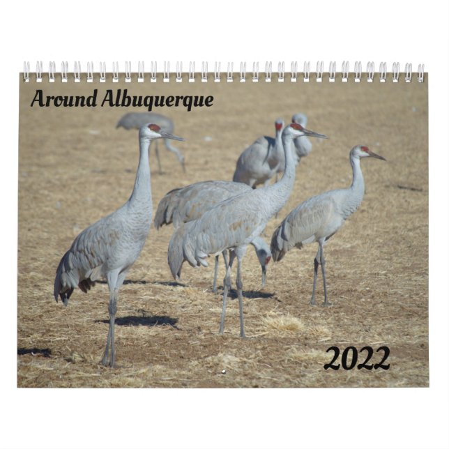 Around Albuquerque Calendar (Cover)