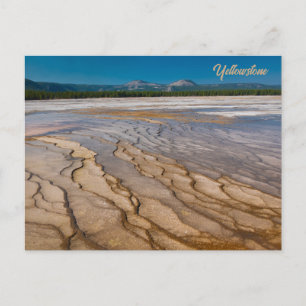 Around of the Grand Prismatic Spring Yellowstone Postcard