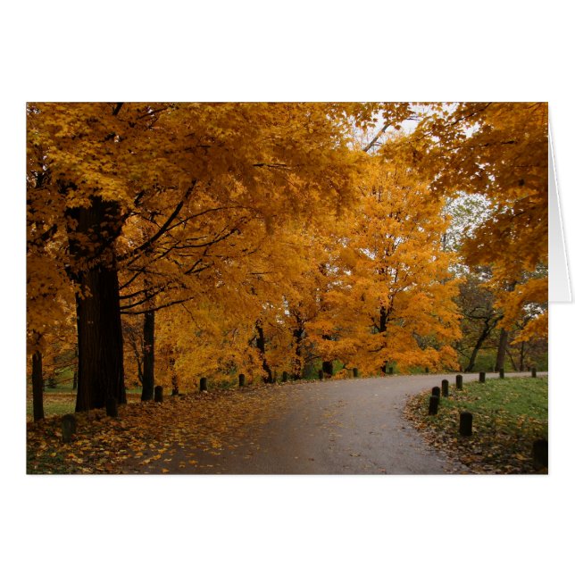 "Around the Bend" (Front Horizontal)