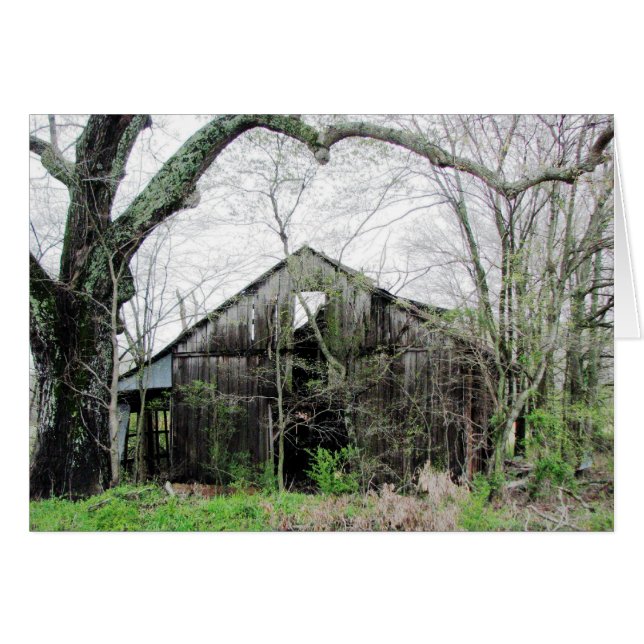 Around the Corner (Front Horizontal)