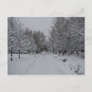 Around the world in 60 postcards. postcard