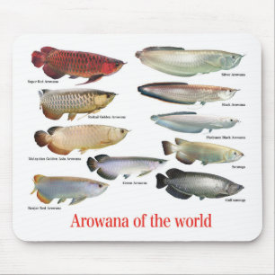 Arowana Mouse Mat