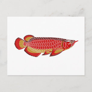 arowana postcard