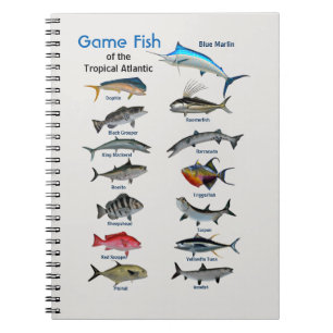 Array of tropical game fish of the Atlantic Notebook