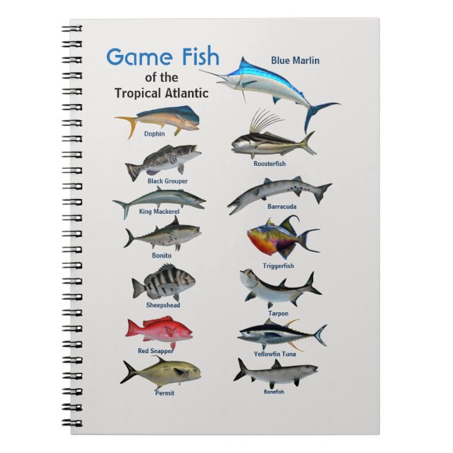 Array of tropical game fish of the Atlantic Notebook (Front)