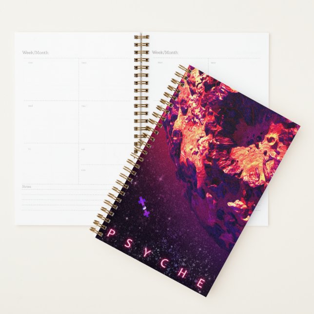 Arrival Planner (Display)
