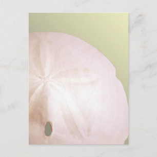 Arrowhead Postcard