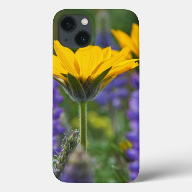 Arrowleaf Balsam Root and Lupine in Spring Bloom Case-Mate iPhone Case (Back)