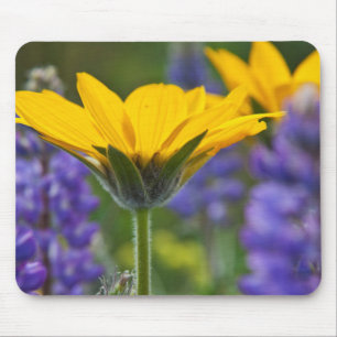 Arrowleaf Balsam Root and Lupine in Spring Bloom Mouse Mat